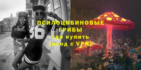 индика Мегион