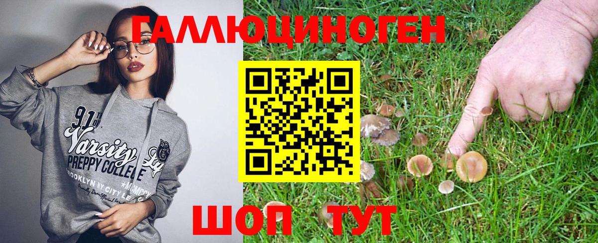 Псилоцибиновые грибы Magic Shrooms Абакан